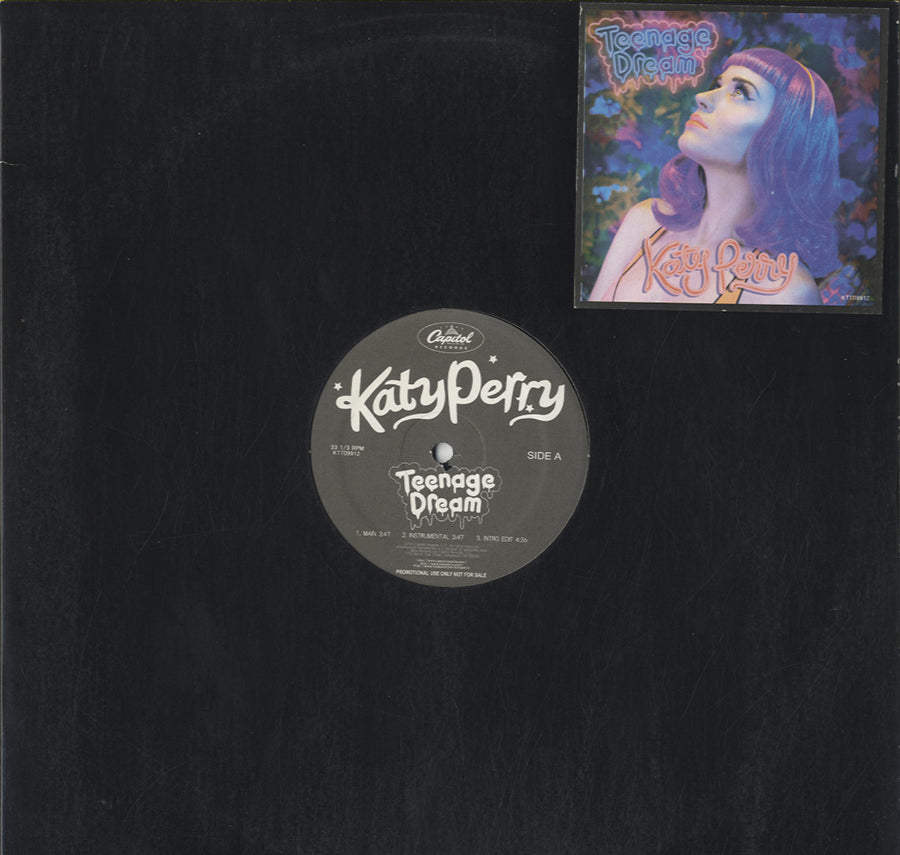 Katy Perry　California Gurls　レコード　ピクチャー盤 Katy Perry - California Gurls [12