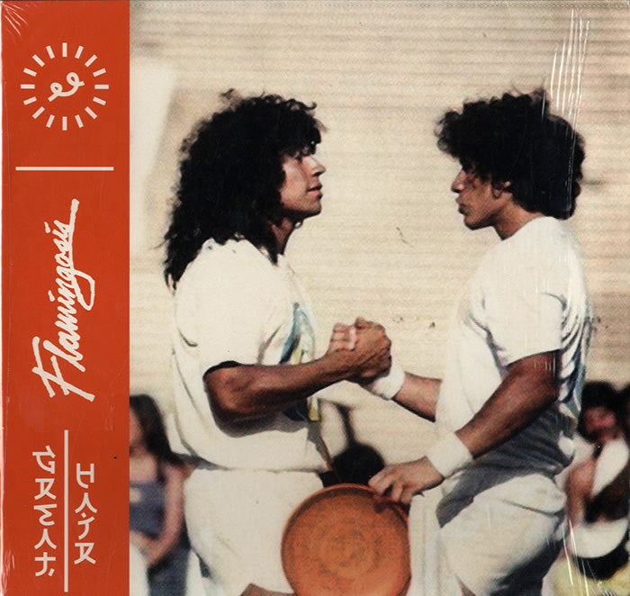 [レコード] Flamingosis Better Will Come LP Flamingosis – Better Will Come – Vinyl (Green Disc, 12