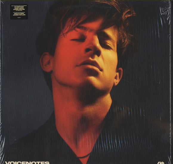 Charlie Puth - Voicenotes [LP]