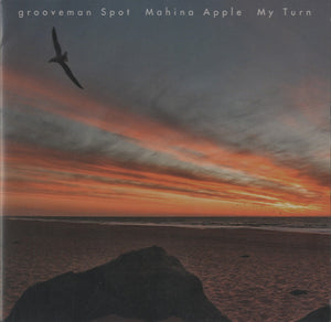 Grooveman Spot, Mahina Apple - My Turn [7"]