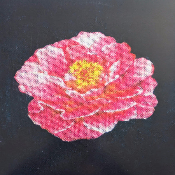 レアRSD Post Malone Tributeto Nirvana レコード Post Malone · Post Malone Tribute to Nirvana (LP) [RSD 2025