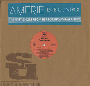 Amerie - Take Control / That's What U R [12"]