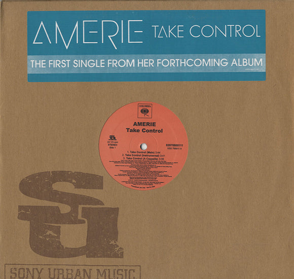 Amerie - Take Control / That's What U R [12