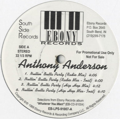 Anthony Anderson - Nuttin' Butta Party / You Like It [12