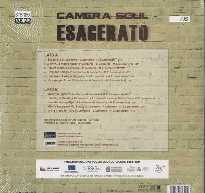 Camera Soul - Esagerato [LP] – Morpho Records