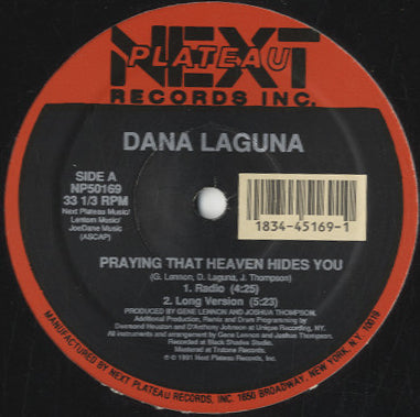 DANA DANCE (Remix) レコード DANA DANCE (Remix) レコード