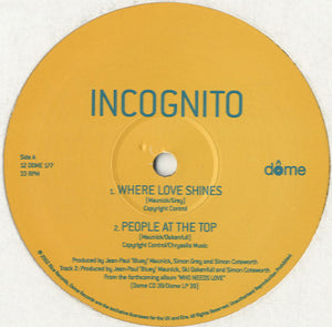 Incognito - Album Sampler [12"]