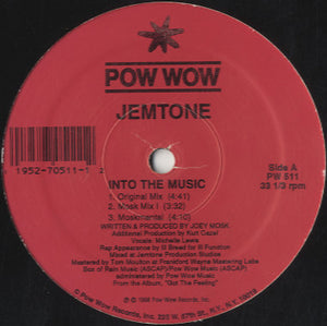 Jemtone - Into The Music [12"]