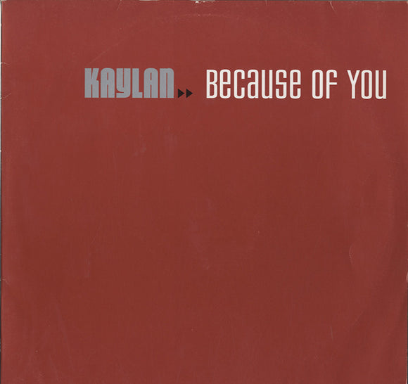 Kaylan - Because Of You [12