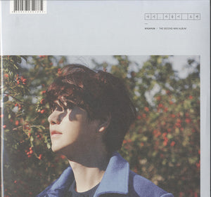 Kyuhyun - Fall, Once Again [12"] 