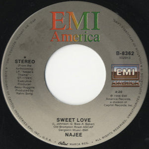 Najee - We're Still Family / Sweet Love [7"] 