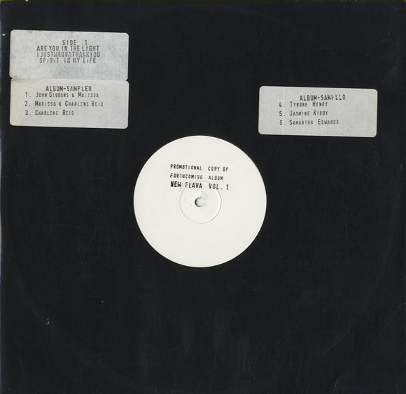 Various - New Flava Volume 1 Sampler [12
