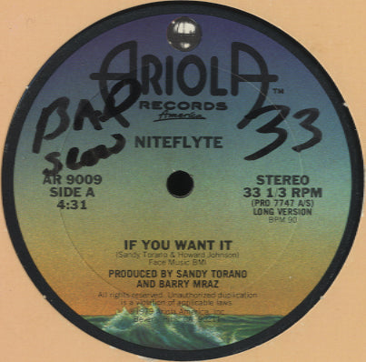 Niteflyte - If You Want It [12