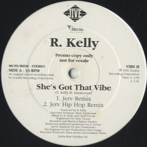 R. Kelly - She's Got That Vibe [12"]