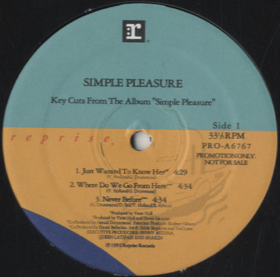 Simple Pleasure - Key Cuts From The Album 