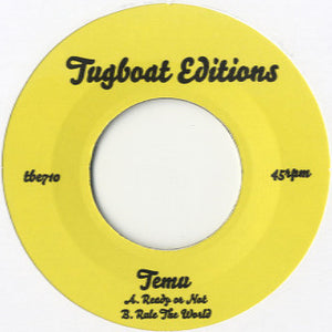 Temu - Ready Or Not / Rule The World [7"]