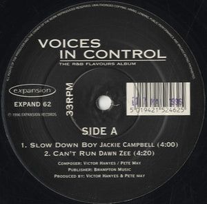 Voices In Control - The R&B Flavours Album [12"]