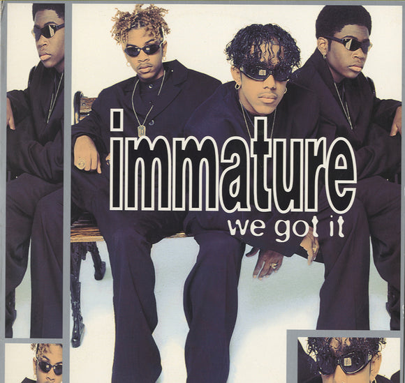 Immature - We Got It [LP]