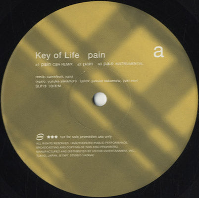 Key of Life - Pain [12