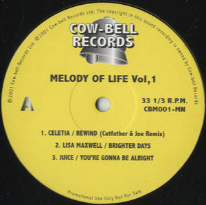 Various - Melody Of Life Vol.1 [12"] 