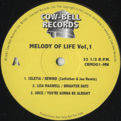 Various - Melody Of Life Vol.1 [12