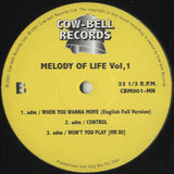 Various - Melody Of Life Vol.1 [12"] 