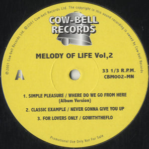 Various - Melody Of Life Vol.2 [12"] 