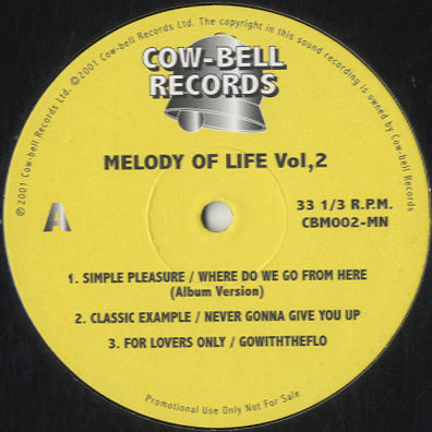 Various - Melody Of Life Vol.2 [12