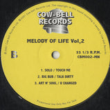 Various - Melody Of Life Vol.2 [12"] 