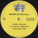 Various - Melody Of Life Vol.4 [12"]