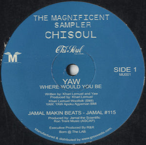 Various - The Magnificent Sampler [12"]