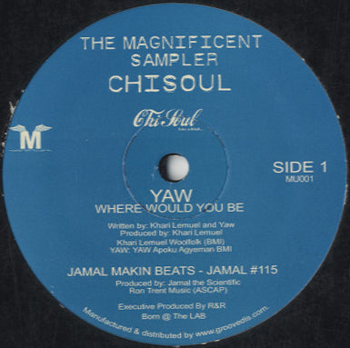 Various - The Magnificent Sampler [12