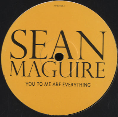 Sean Maguire - You To Me Are Everything [12