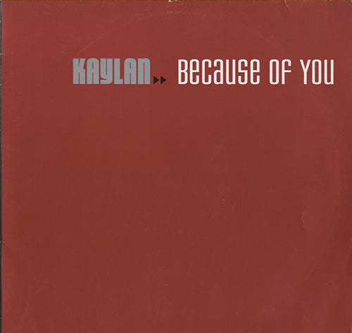 Kaylan - Because Of You [12