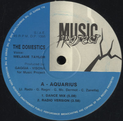 The Domestics - Aquarius [12