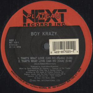 Boy Krazy - That's What Love Can Do [12"]