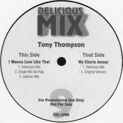 Delicious Mix 09 (Tony Thompson - I Wanna Love Life That/My Cherie Amour) [12