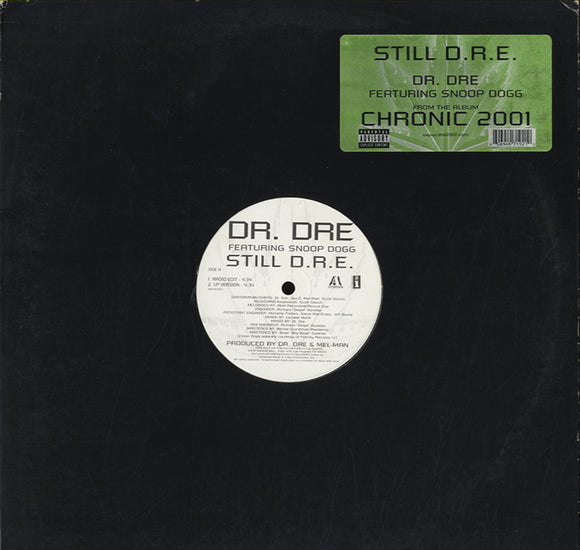 Dr. Dre feat. Snoop Dogg - Still DRE [12