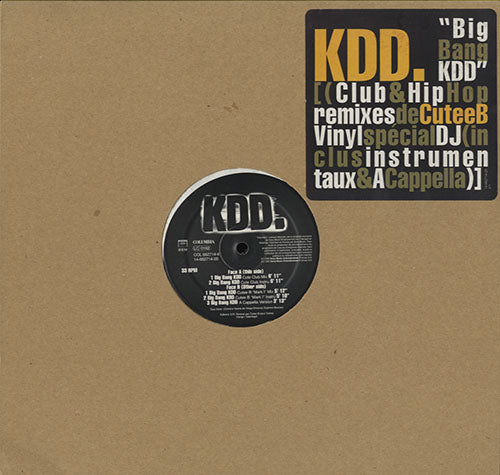 KDD. - Big Bang KDD [12